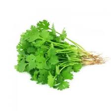 Coriander Leaves
